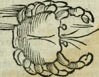 An illustration from Albumasar, De magnis [con]iunctionibus, anno[rum] reuolutio[n]ibus, ac eo[rum] profectionibus octo [con]tines tractatus (1515)