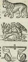 An illustration from Albumasar, De magnis [con]iunctionibus, anno[rum] reuolutio[n]ibus, ac eo[rum] profectionibus octo [con]tines tractatus (1515)
