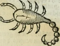 An illustration from Albumasar, De magnis [con]iunctionibus, anno[rum] reuolutio[n]ibus, ac eo[rum] profectionibus octo [con]tines tractatus (1515)