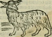 An illustration from Albumasar, De magnis [con]iunctionibus, anno[rum] reuolutio[n]ibus, ac eo[rum] profectionibus octo [con]tines tractatus (1515)