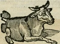 An illustration from Albumasar, De magnis [con]iunctionibus, anno[rum] reuolutio[n]ibus, ac eo[rum] profectionibus octo [con]tines tractatus (1515)