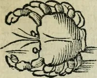 An illustration from Albumasar, De magnis [con]iunctionibus, anno[rum] reuolutio[n]ibus, ac eo[rum] profectionibus octo [con]tines tractatus (1515)