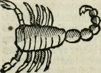 An illustration from Albumasar, De magnis [con]iunctionibus, anno[rum] reuolutio[n]ibus, ac eo[rum] profectionibus octo [con]tines tractatus (1515)