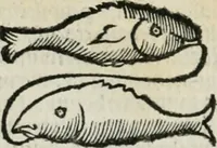 An illustration from Albumasar, De magnis [con]iunctionibus, anno[rum] reuolutio[n]ibus, ac eo[rum] profectionibus octo [con]tines tractatus (1515)