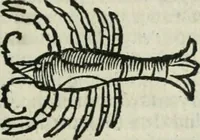 An illustration from Albumasar, De magnis [con]iunctionibus, anno[rum] reuolutio[n]ibus, ac eo[rum] profectionibus octo [con]tines tractatus (1515)