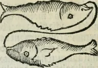 An illustration from Albumasar, De magnis [con]iunctionibus, anno[rum] reuolutio[n]ibus, ac eo[rum] profectionibus octo [con]tines tractatus (1515)