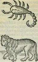 An illustration from Albumasar, De magnis [con]iunctionibus, anno[rum] reuolutio[n]ibus, ac eo[rum] profectionibus octo [con]tines tractatus (1515)