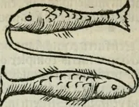 An illustration from Albumasar, De magnis [con]iunctionibus, anno[rum] reuolutio[n]ibus, ac eo[rum] profectionibus octo [con]tines tractatus (1515)