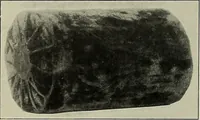An illustration from Album de dentelle de Venise (1900)