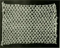 An illustration from Album de dentelle de Venise (1900)