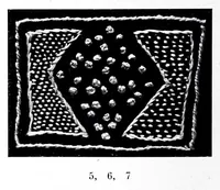 Picture 16 of 17 from [Album de dentelles] (1850), leaf 394