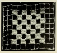 An illustration from Album de filet brodé (1900)