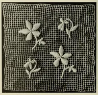 An illustration from Album de filet brodé (1900)