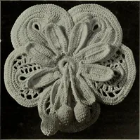 An illustration from Album de guipure d'Irlande (1900)