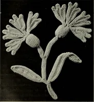 Picture 52 of 167 from Album de guipure d'Irlande (1900), leaf 113