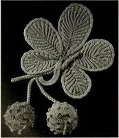 Picture 55 of 167 from Album de guipure d'Irlande (1900), leaf 121