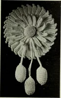 An illustration from Album de guipure d'Irlande (1900)