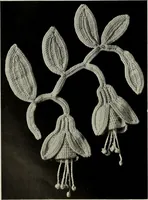 Picture 62 of 167 from Album de guipure d'Irlande (1900), leaf 135
