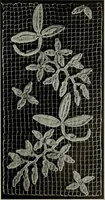 An illustration from Album de guipure d'Irlande (1900)