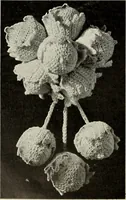 An illustration from Album de guipure d'Irlande (1900)