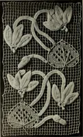 An illustration from Album de guipure d'Irlande (1900)