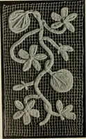An illustration from Album de guipure d'Irlande (1900)