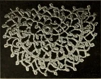 An illustration from Album de guipure d'Irlande (1900)