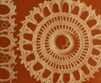 An illustration from Album de guipure d'Irlande (1900)