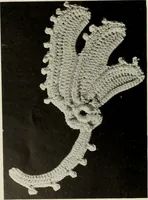 Picture 136 of 167 from Album de guipure d'Irlande (1900), leaf 263