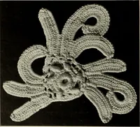Picture 148 of 167 from Album de guipure d'Irlande (1900), leaf 277