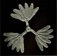 An illustration from Album de guipure d'Irlande (1900)