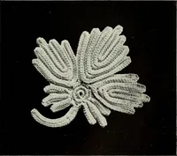 Picture 20 of 167 from Album de guipure d'Irlande (1900), leaf 44