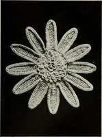 An illustration from Album de guipure d'Irlande (1900)