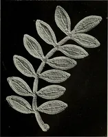 An illustration from Album de guipure d'Irlande (1900)