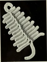 An illustration from Album de guipure d'Irlande (1900)