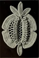 An illustration from Album de guipure d'Irlande (1900)