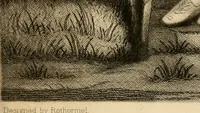 An illustration from Album of engravings (1877)