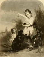 Picture 1 of 11 from Album of engravings (1877), leaf 2