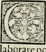Picture 19 of 20 from Alchemiae Gebri Arabis philosophi solertissimi libri, cum reliquis, ut versa pagella indicabit (1545), leaf 241