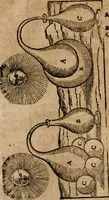 An illustration from Alchimia nova, das ist, Die güldene Kunst selbst, oder, Aller Künsten Mutter : sampt dero heimlichen Secreten, vnzehlichen verborgenen Kindern vnd Früchten ... (1603)