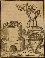 An illustration from Alchimia nova, das ist, Die güldene Kunst selbst, oder, Aller Künsten Mutter : sampt dero heimlichen Secreten, vnzehlichen verborgenen Kindern vnd Früchten ... (1603)
