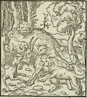 Picture 95 of 116 from Andreae Alciati emblematvm libellvs (1534), leaf 102
