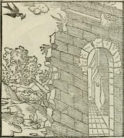 Picture 100 of 116 from Andreae Alciati emblematvm libellvs (1534), leaf 108