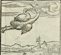 Picture 7 of 116 from Andreae Alciati emblematvm libellvs (1534), leaf 12