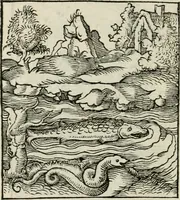 Picture 12 of 116 from Andreae Alciati emblematvm libellvs (1534), leaf 17