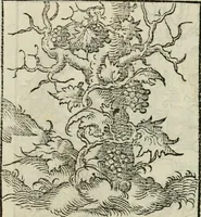 An illustration from Andreae Alciati emblematvm libellvs (1534)