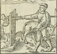 Picture 19 of 116 from Andreae Alciati emblematvm libellvs (1534), leaf 24