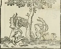 Picture 25 of 116 from Andreae Alciati emblematvm libellvs (1534), leaf 30