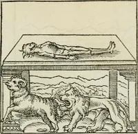 Picture 27 of 116 from Andreae Alciati emblematvm libellvs (1534), leaf 32