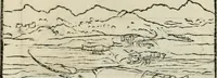 Picture 28 of 116 from Andreae Alciati emblematvm libellvs (1534), leaf 33